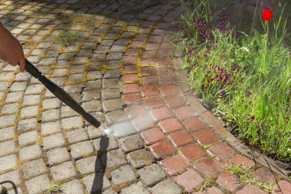 Cost of Walkway Cleaning Service in Novato