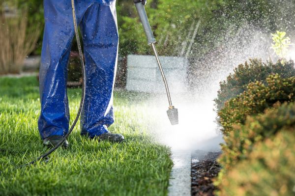 Cost of Curb Cleaning in Novato