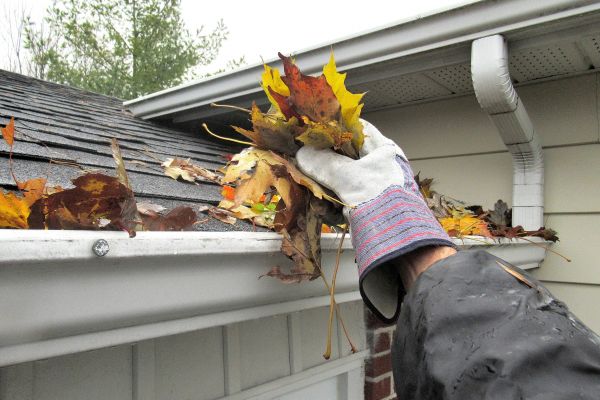 Cost of Eaves Cleaning in Novato