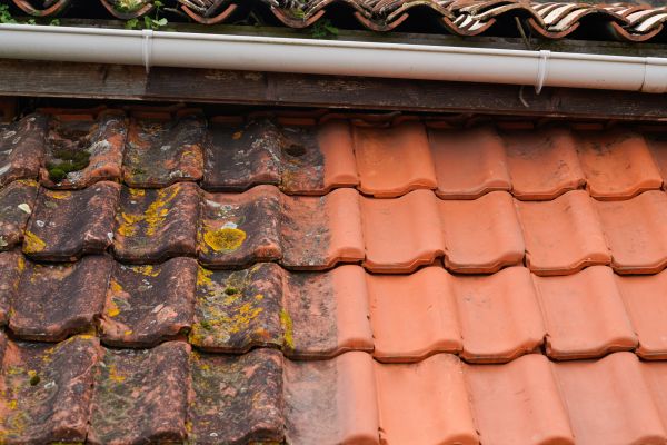 Industrial Roof Cleaning in Novato